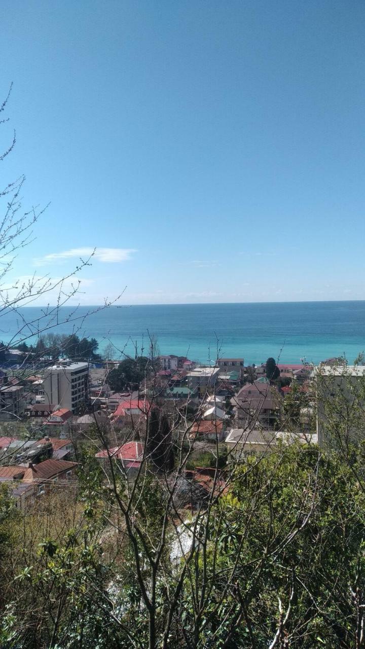 Отдых У Анаиды Gagra Dış mekan fotoğraf