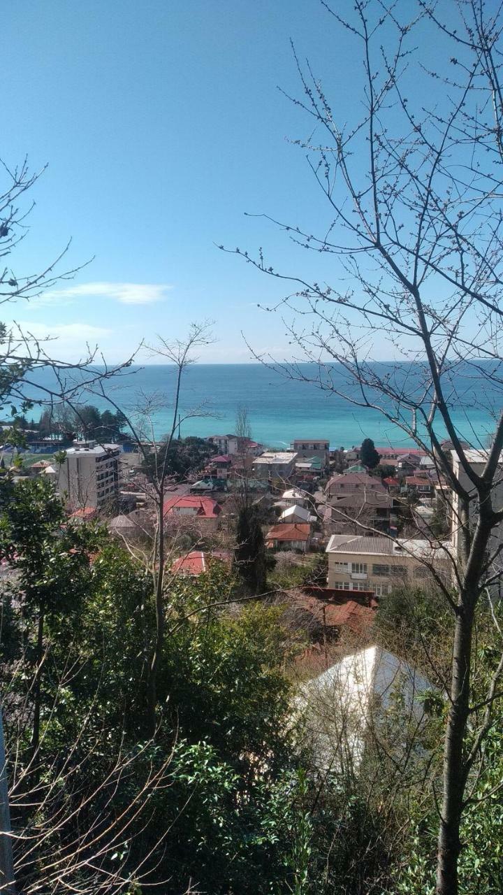 Отдых У Анаиды Gagra Dış mekan fotoğraf